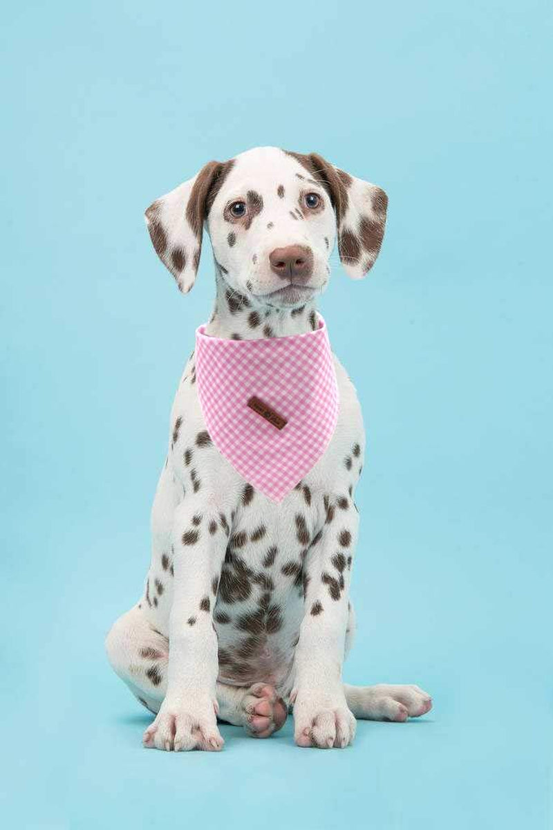 Dog Bandana Washable Cotton Handkerchief Scarf Triangle Bandana for Small Medium Large Dogs Pink Grid