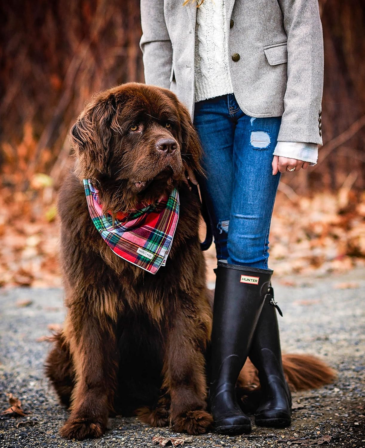 Christmas Dog Bandana in Tartan Plaid - Holiday Cozy Red Flannel Plaid Pet Bandana. Cute Dog Accessory for Fall and Winter for Large Medium and Small Dogs.