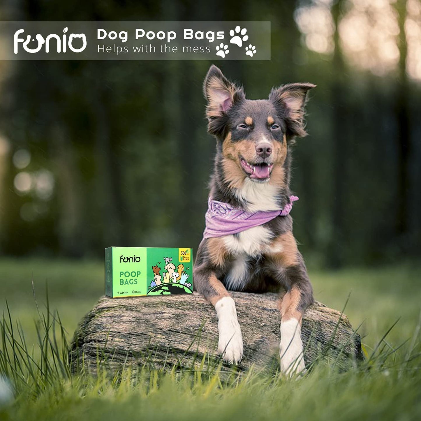 Scented Dog Poop Bag, Eco Friendly Poop Bags,360 Counts Dog Poop Bags with Dispenser,Black Dog Bags for Poop