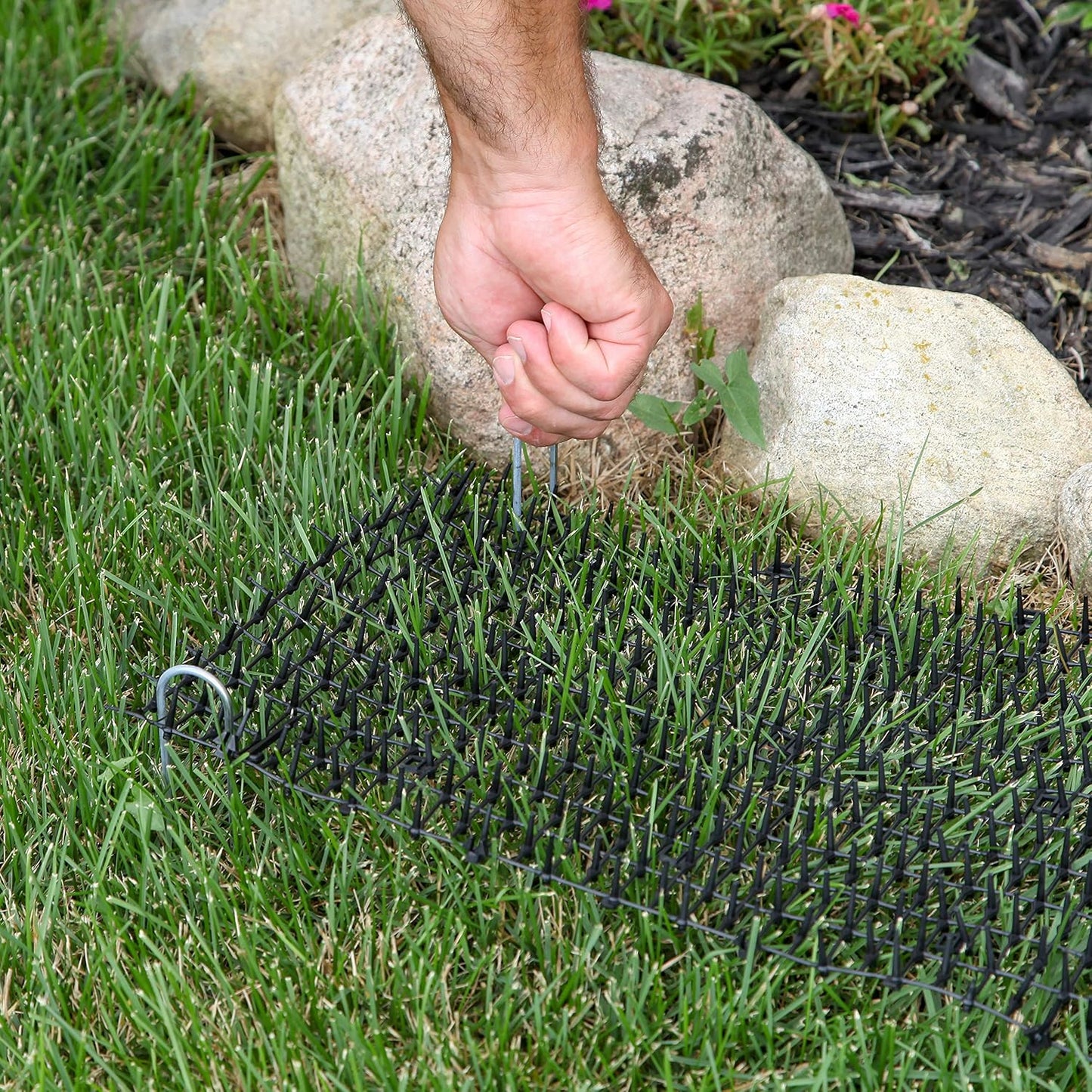Cat Scat Mat with Spikes Digging Stopper (8 Ft.) Anti-Cat Network Cat Strips, Cat Deterrent Mat for Indoor and Outdoor with 6 Staples