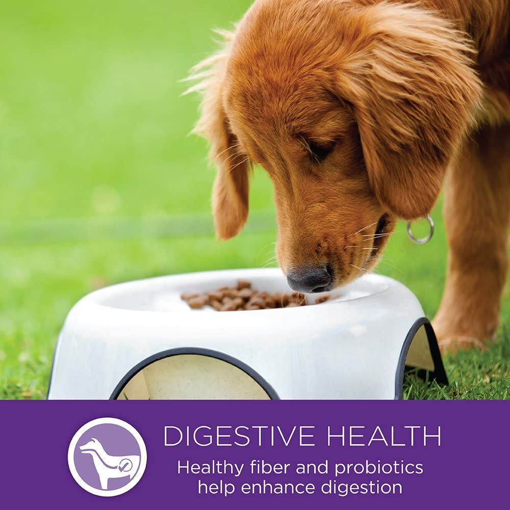 Complete Health Puppy Dry Dog Food, Small Breed, Wholesome Grains, Natural, Chicken, Oatmeal, & Salmon Recipe, (4-Pound Bag)
