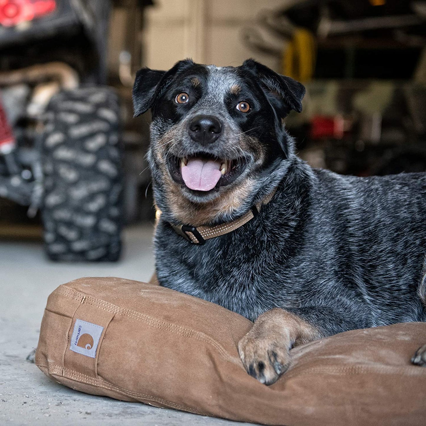 Firm Duck Dog Bed Brown, Medium