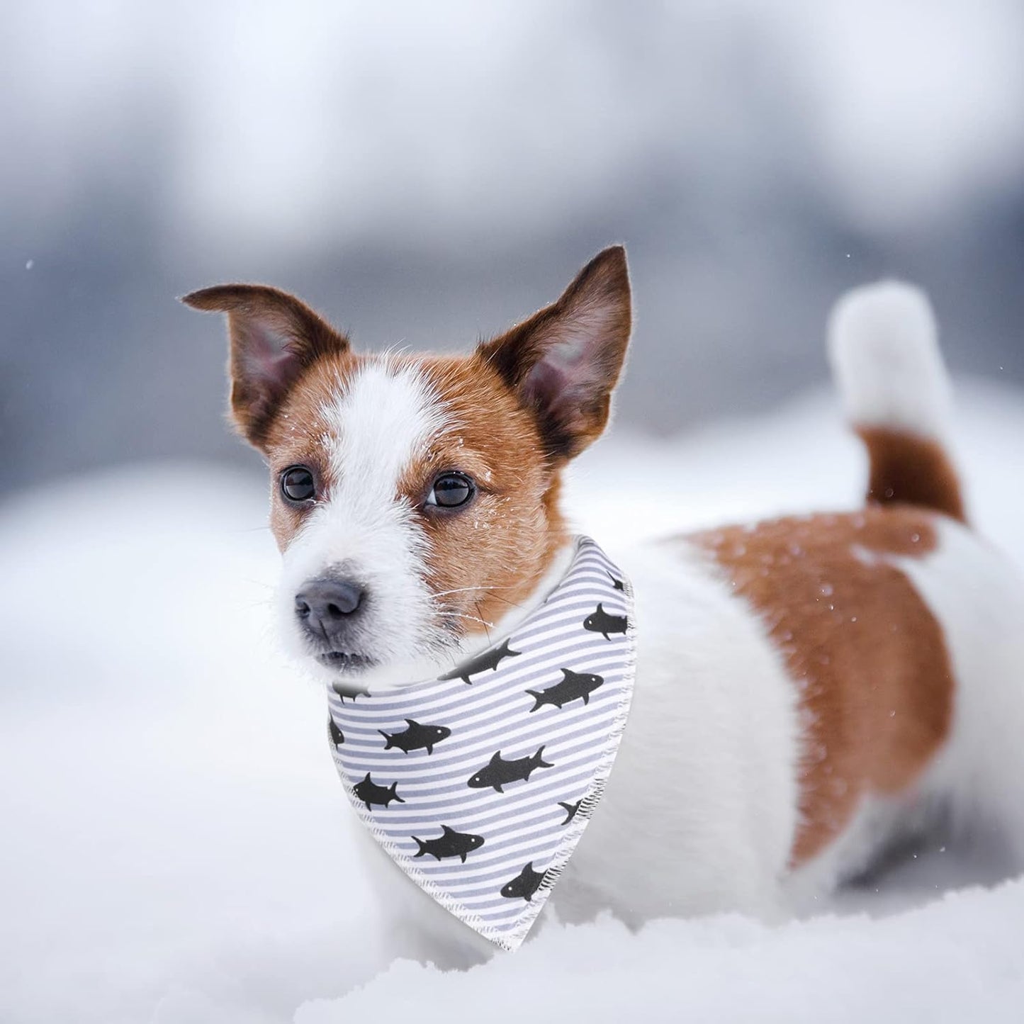 8 Pieces Dog Bandanas with Snaps Dog Triangle Scarf Puppy Kerchief Bandana Dog Bandanas Bibs Pet Scarf Accessories for Dogs Puppy Cats Supplies (Sea Animal Pattern)