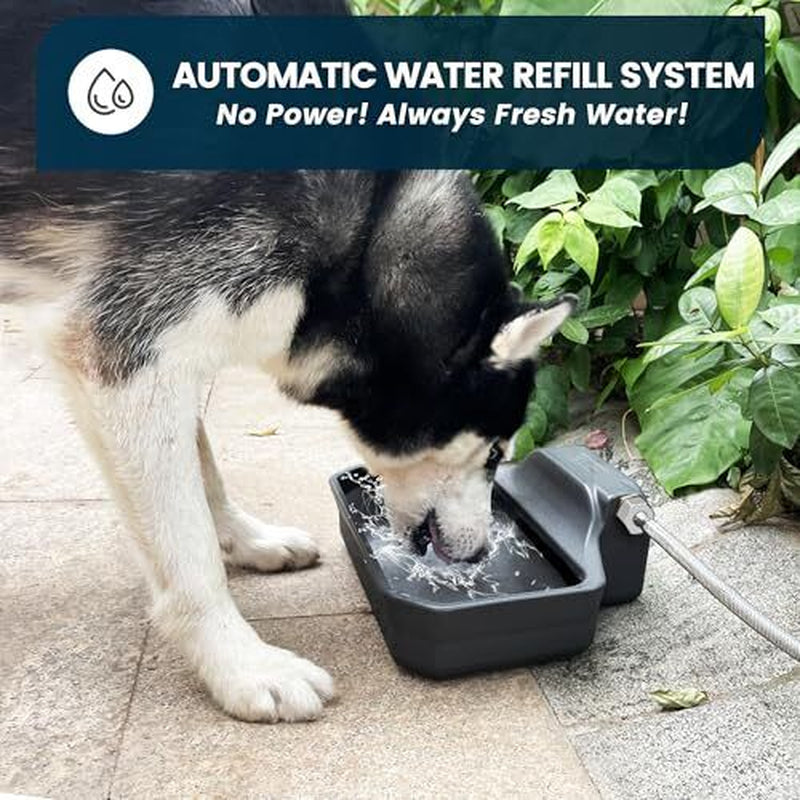 Automatic Dog Water Dispenser, 1 Gallon Dog Water Bowl for Outdoor, Extra Gray