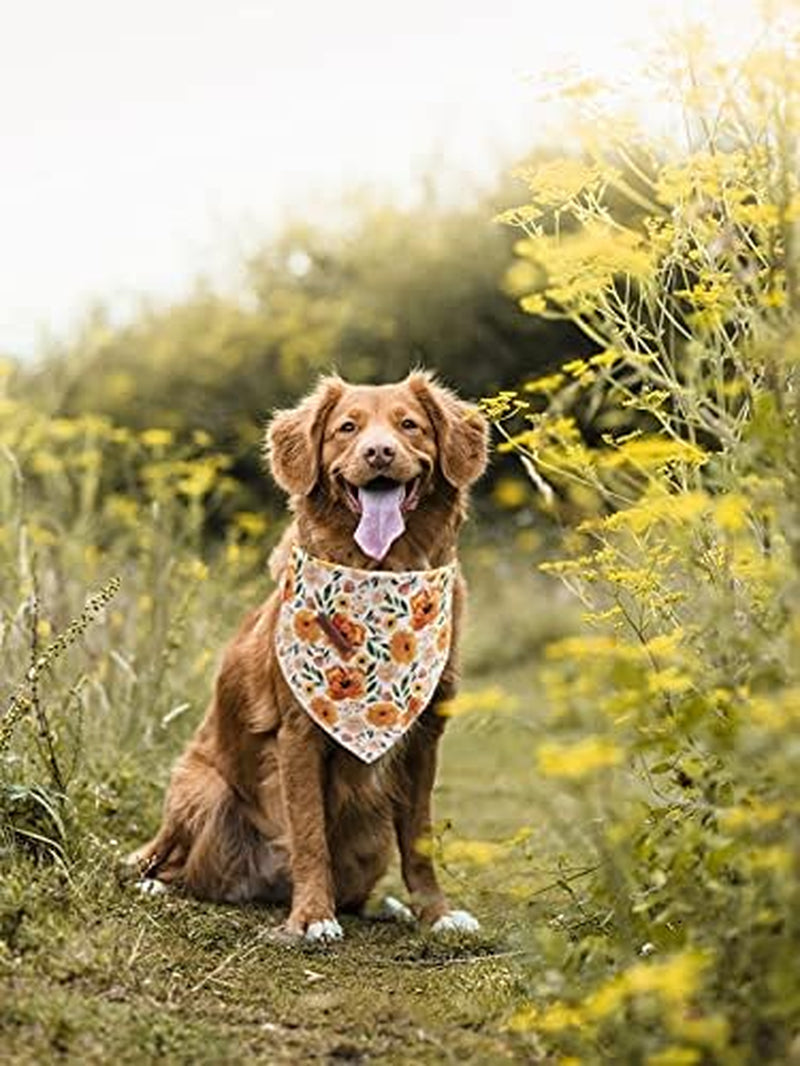 Dog Bandanas - 1Pack Floral Print Washable Dog Scarf Female Square Dog Bib Kerchief Scarf Adjustable Pet Bandana for Medium Large Dogs