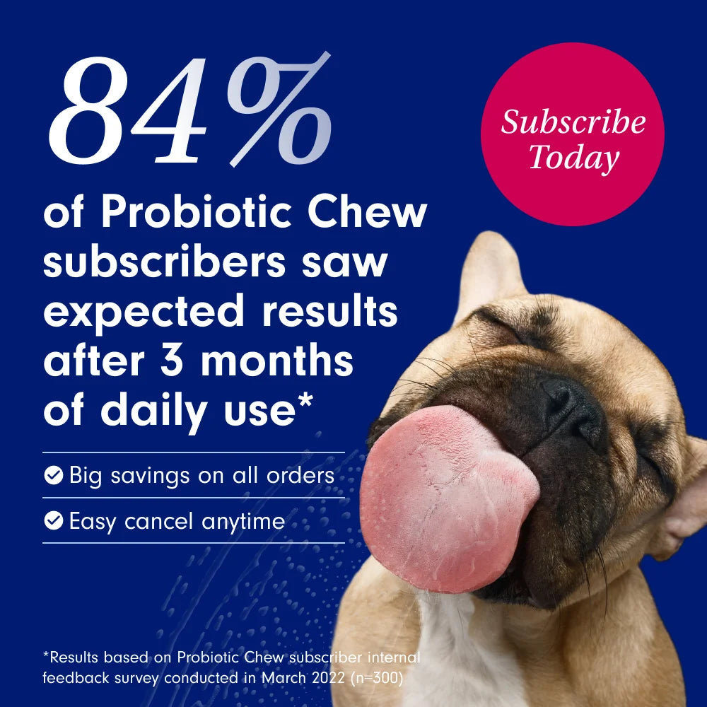 Co. Probiotic Chews, Delicious Soft Chew Probiotics for Dogs, 30 Ct.