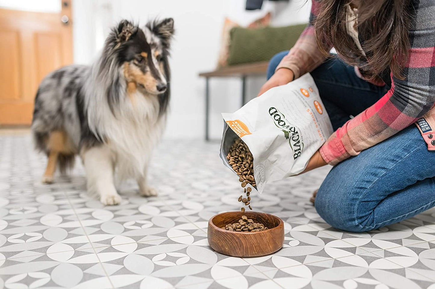 Special Diet All Life Stages Dry Dog Food, 15Lb., Salmon Meal & Brown Rice Recipe, Sensitive Skin and Stomach, Grain Free Dog Food