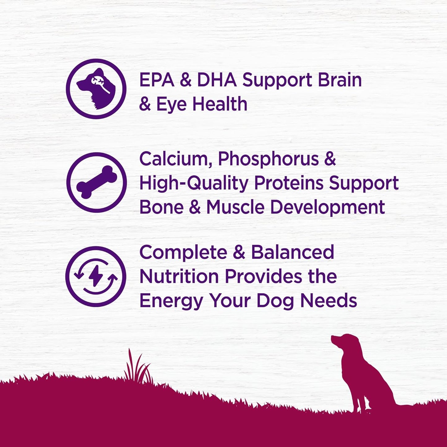 Complete Health Puppy Dry Dog Food, Small Breed, Wholesome Grains, Natural, Chicken, Oatmeal, & Salmon Recipe, (4-Pound Bag)
