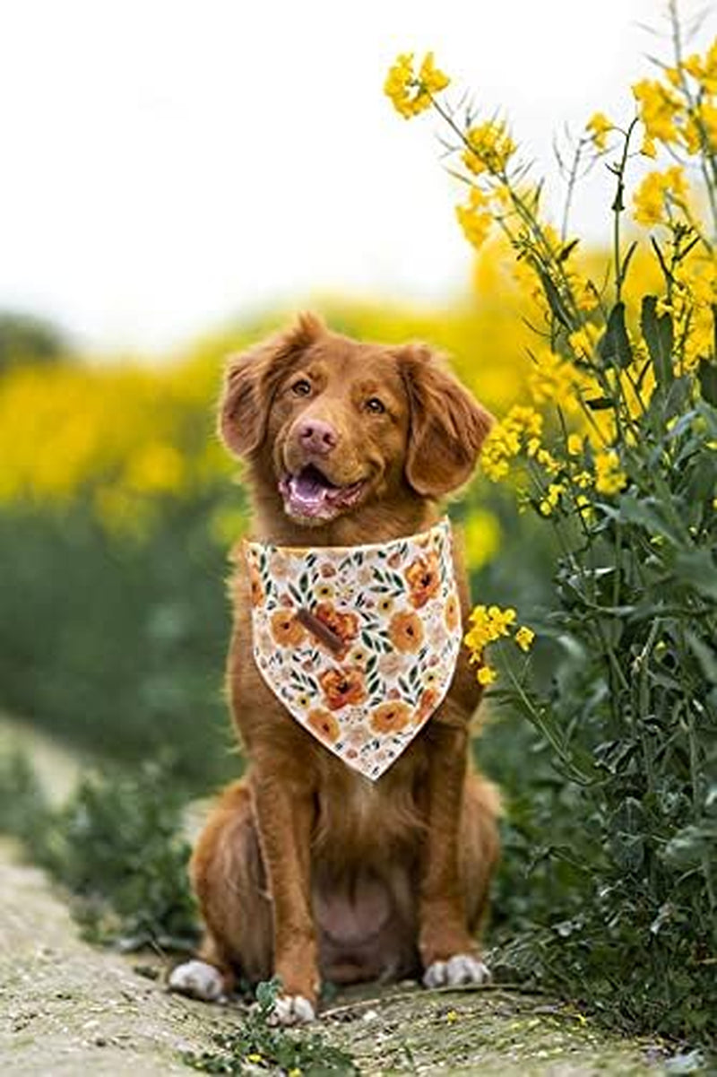 Dog Bandanas - 1Pack Floral Print Washable Dog Scarf Female Square Dog Bib Kerchief Scarf Adjustable Pet Bandana for Medium Large Dogs
