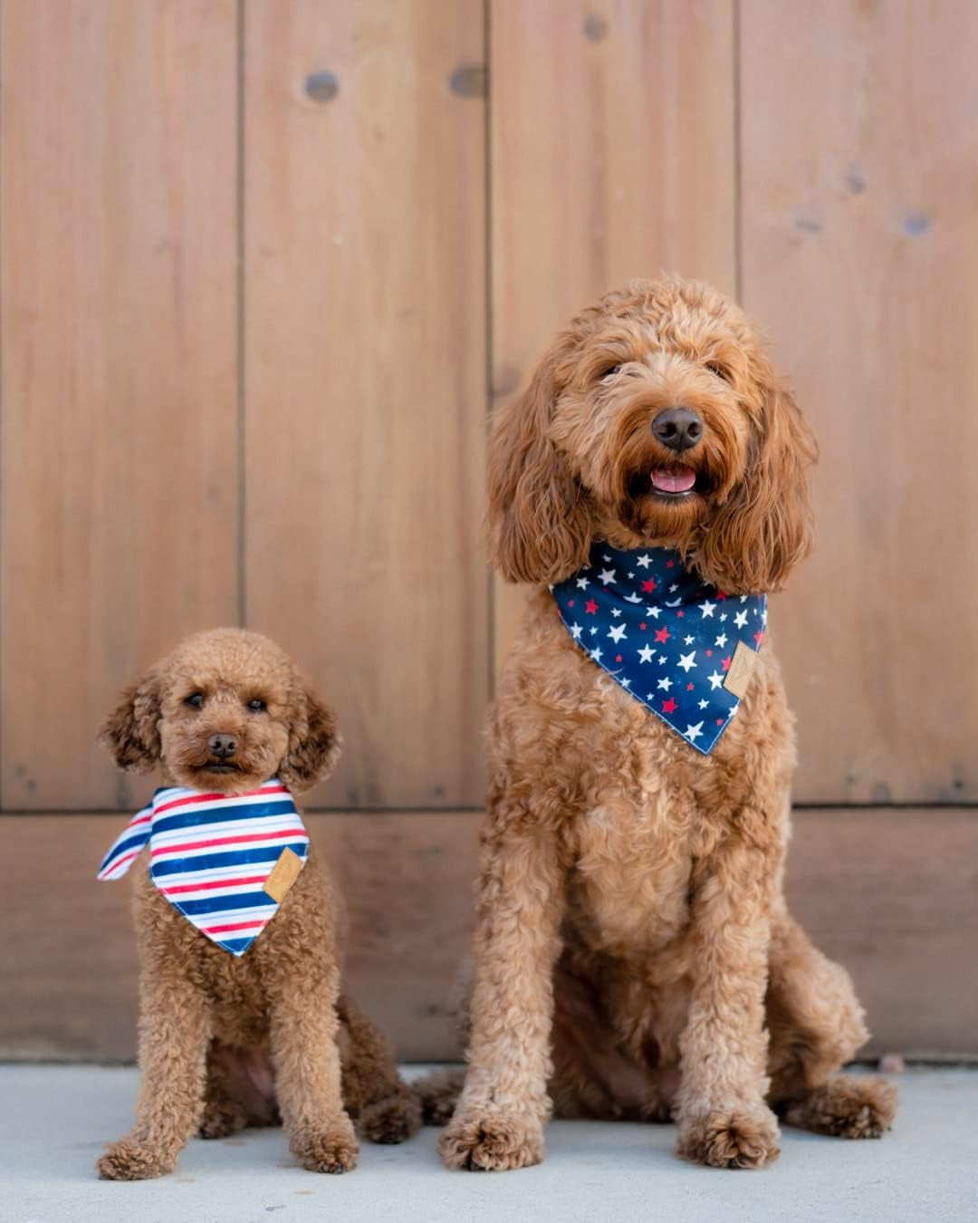 Dog Bandanas - 2 Pack | Stars+Stripes Set | Premium Durable Fabric | Unique Shape | Adjustable Fit | Multiple Sizes Offered (XL)