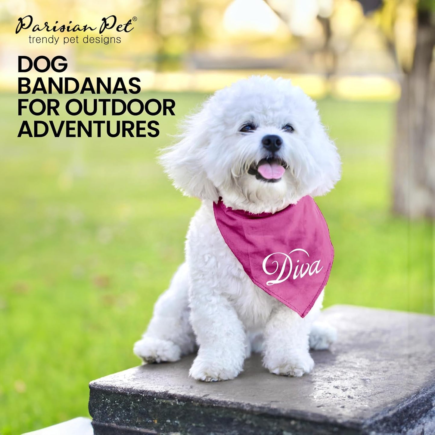 Dog Bandanas with Printed 'Diva' Word - Classy Tie-On Adjustable Girl Dog Bandana - Dog Scarf for Large Dogs - Washable Triangle Female Dog Bib - Pink Handkerchief for Pets - L
