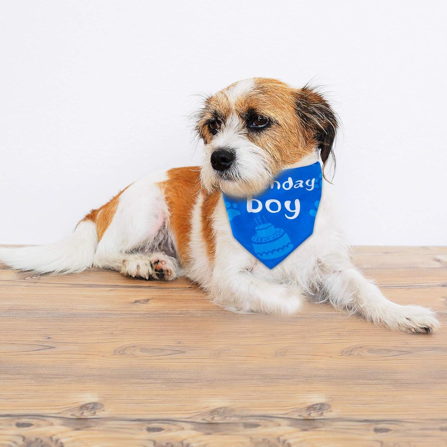 Dog Birthday Bandana Boy, Dog Birthday Party Supplies for Small, Medium, Large Dogs Puppy Birthday (Blue-Bandana)