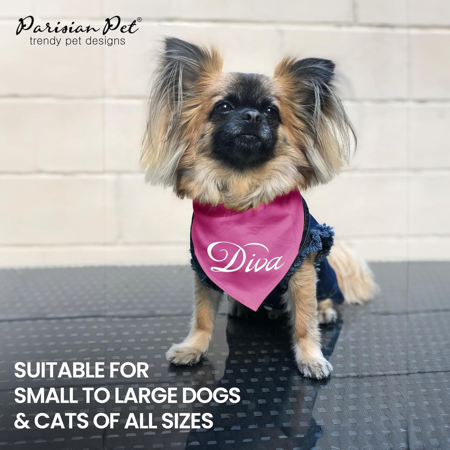Dog Bandanas with Printed 'Diva' Word - Classy Tie-On Adjustable Girl Dog Bandana - Dog Scarf for Large Dogs - Washable Triangle Female Dog Bib - Pink Handkerchief for Pets - L