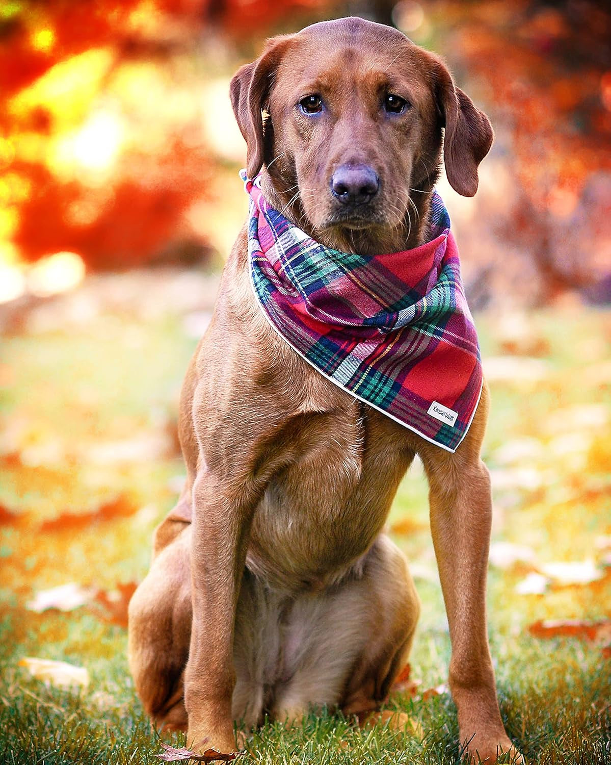 Christmas Dog Bandana in Tartan Plaid - Holiday Cozy Red Flannel Plaid Pet Bandana. Cute Dog Accessory for Fall and Winter for Large Medium and Small Dogs.