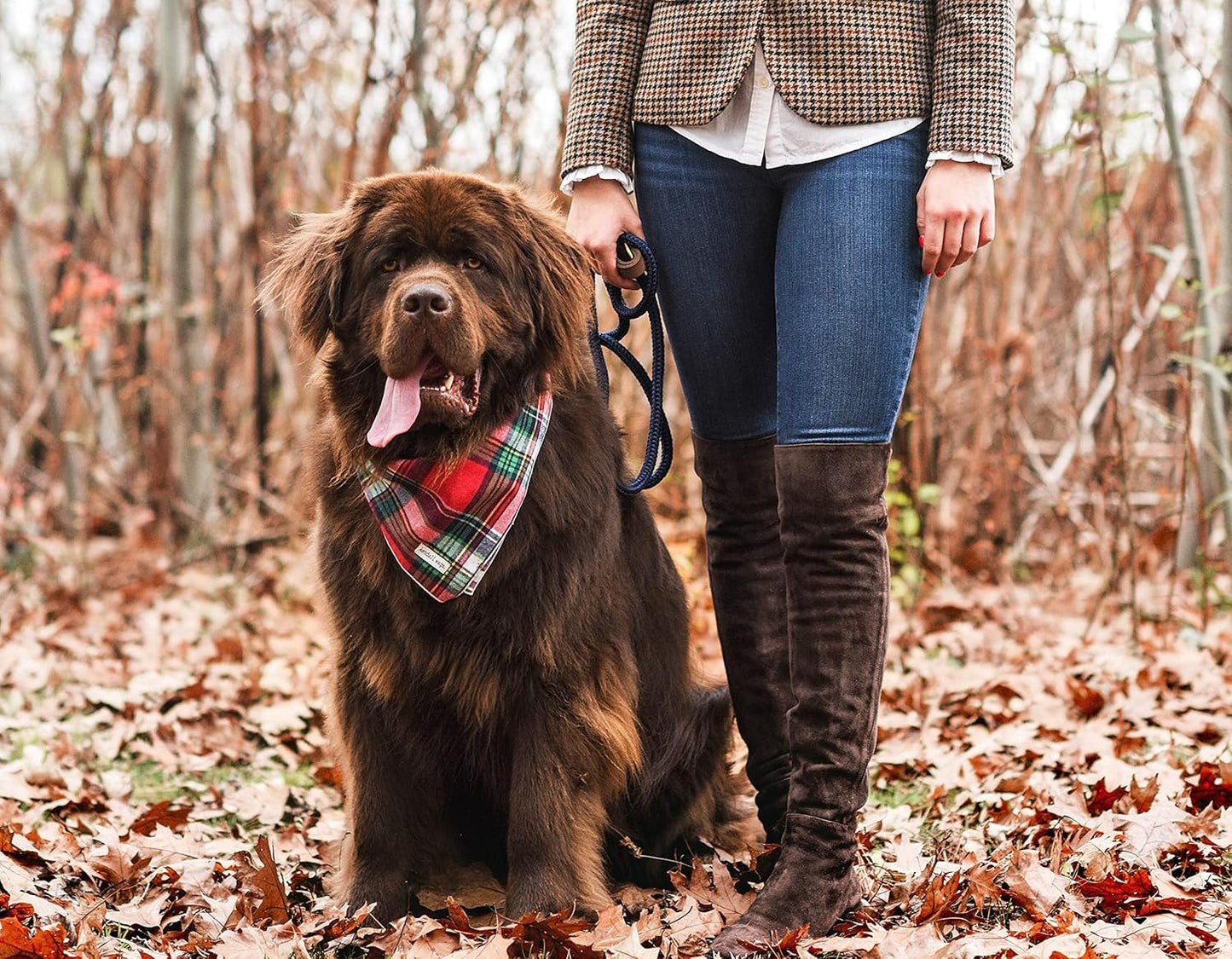 Christmas Dog Bandana in Tartan Plaid - Holiday Cozy Red Flannel Plaid Pet Bandana. Cute Dog Accessory for Fall and Winter for Large Medium and Small Dogs.
