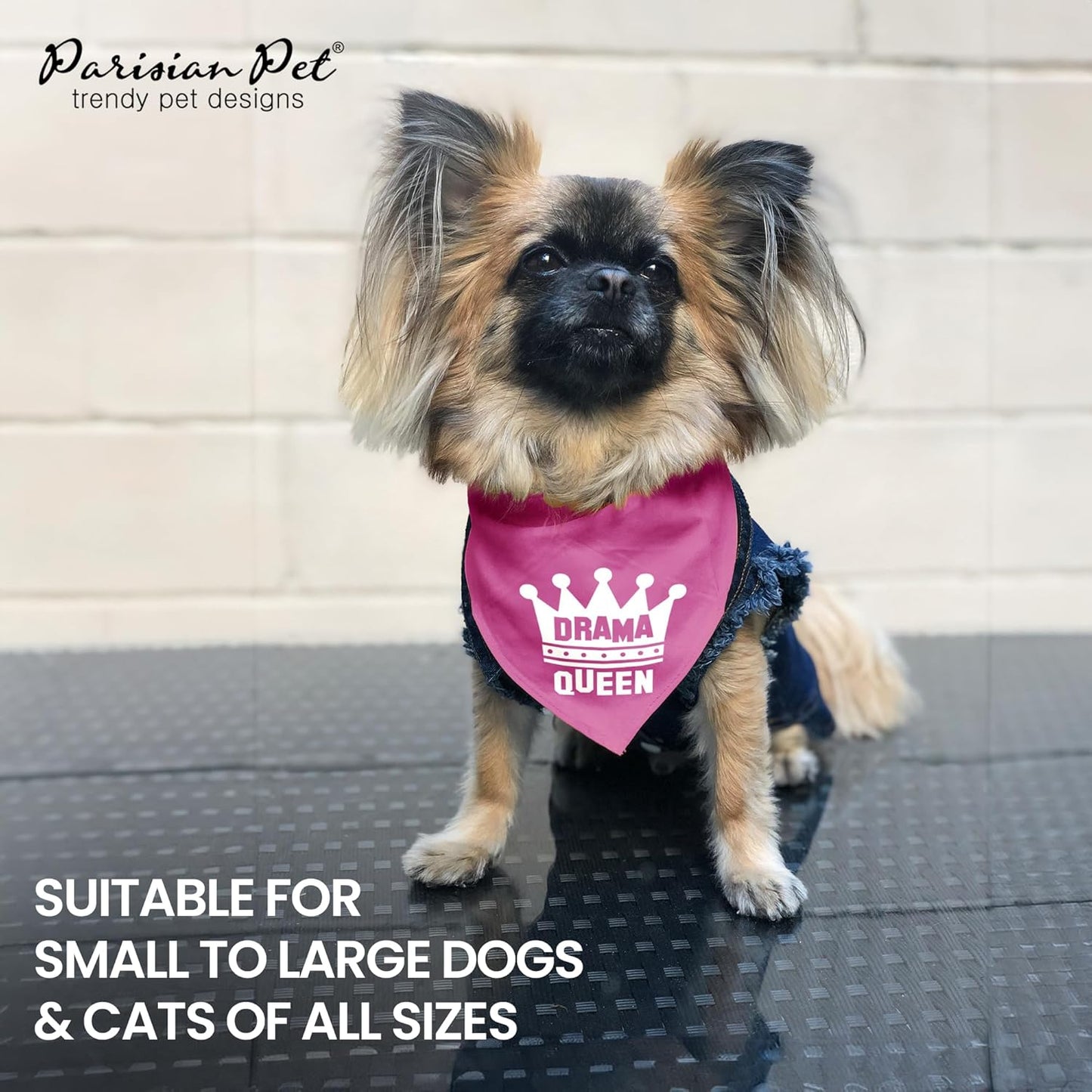 Dog Bandanas with Printed 'Drama Queen' - Classy Pink Bandana for Dogs - Tie-On Adjustable, Polyester Dog Scarf for Small Dogs - Washable Triangle Female Dog Bib - Handkerchief for Pets