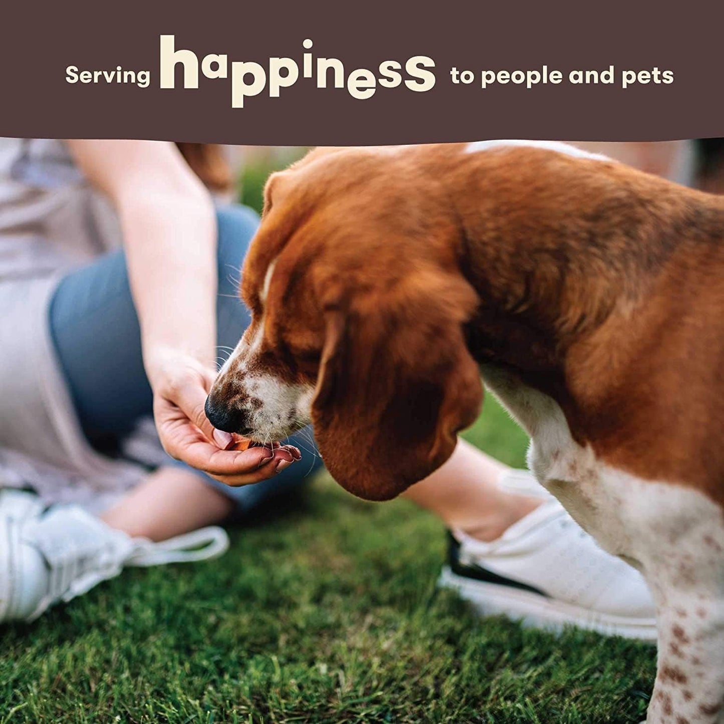 Sweet Potato Chews Jerky Dog Treats - 16 Ounce