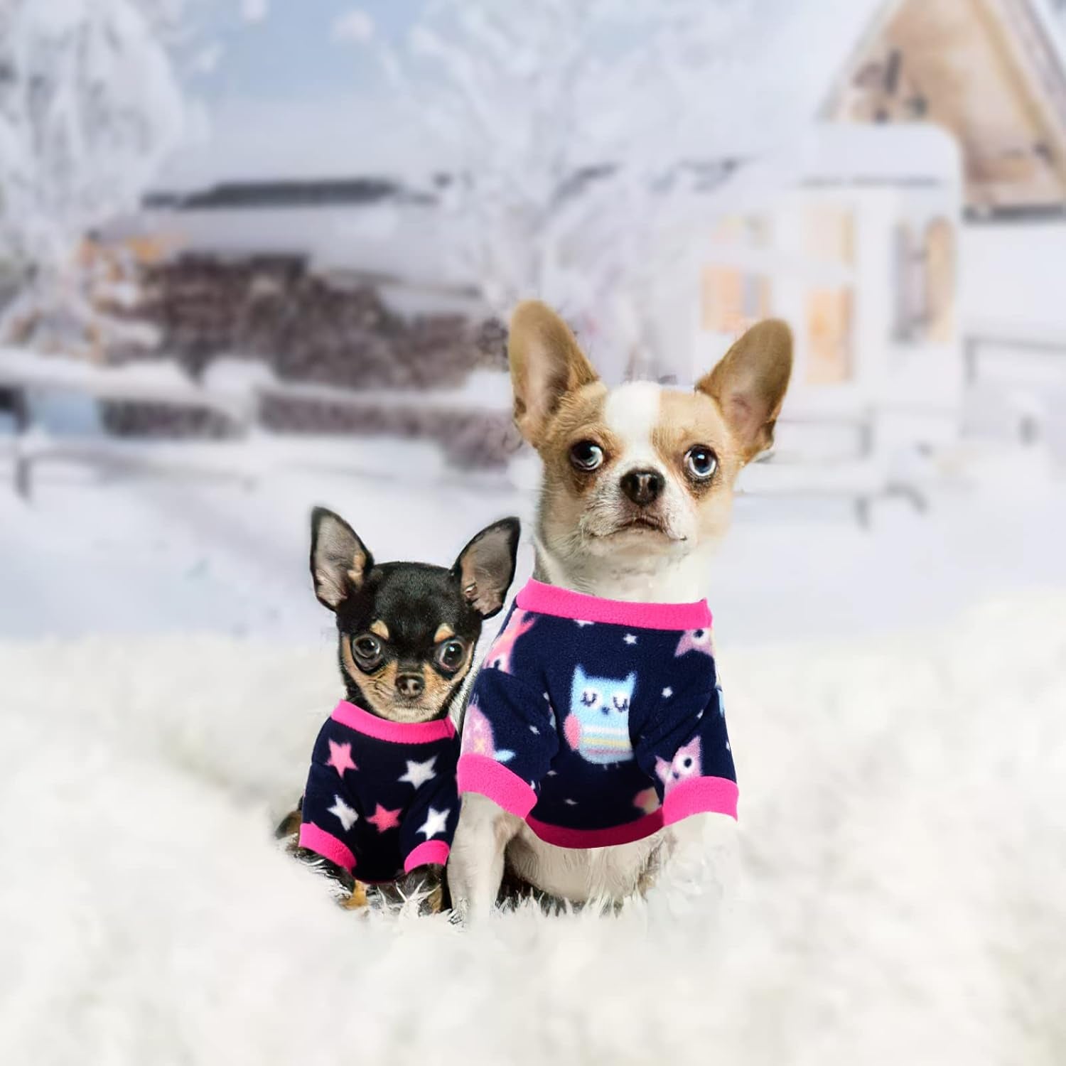 2 Pieces Small Dog Sweaters Chihuahua Fleece Clothes XXS~S Winter Warm Puppy Sweaters Boys Girls Tiny Dog Outfits for Teacup Yorkie Puppies Extra Small Breed Costume (X-Small, Red)