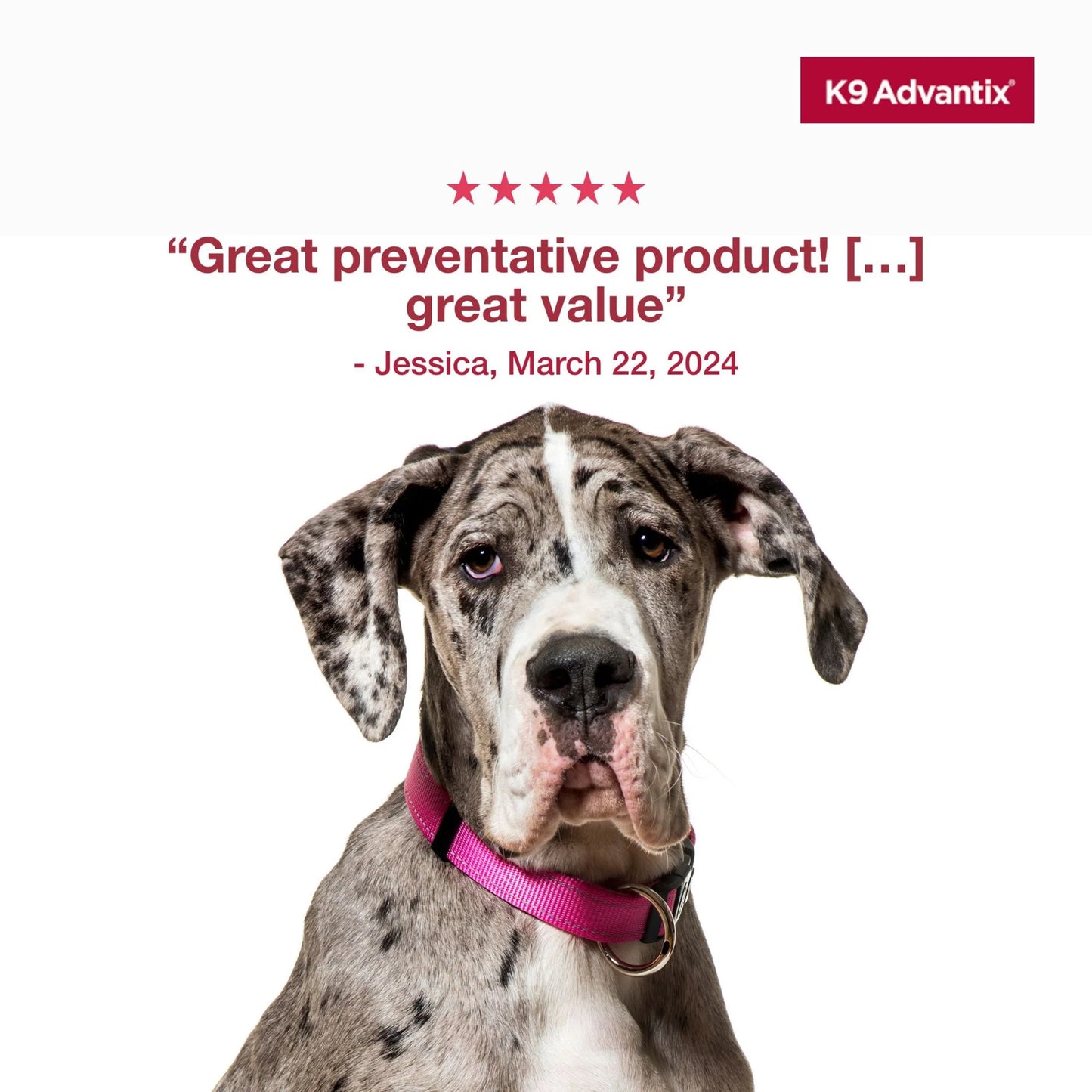 (3 Pack)  Flea, Tick & Mosquito Prevention for Extra Large Dogs over 55 Lbs., 2-Monthly Treatments