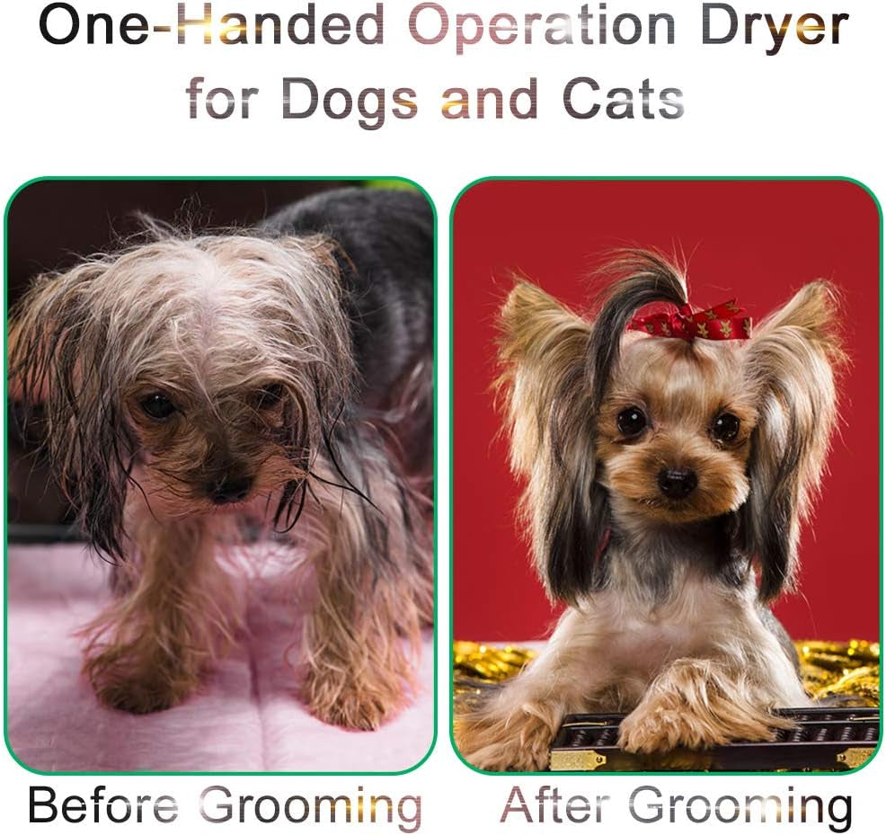 Pet Hair Dryer, Dog Hair Dryer Portable Dog Dryer Grooming Hair Dryer for Small Medium Dogs Cats