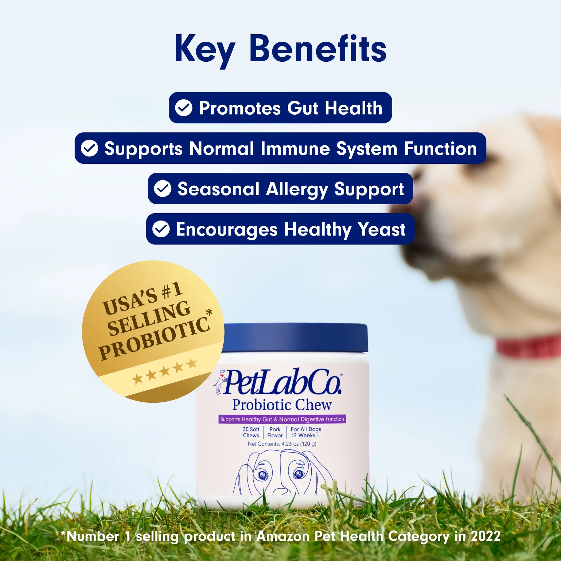 Co. Probiotic Chews, Delicious Soft Chew Probiotics for Dogs, 30 Ct.