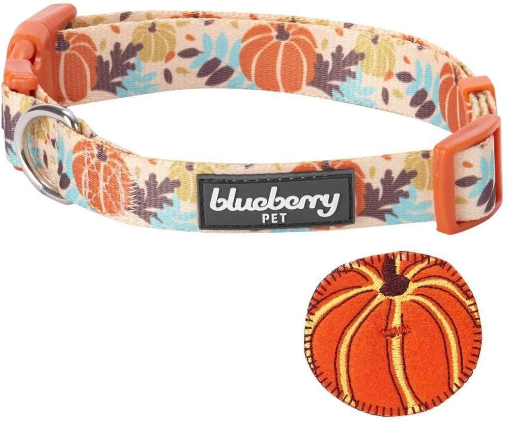 Thanksgiving Dog Collar - Adjustable Fall Pumpkin Puppy Collar for Small Dogs, Medium 14.5"-20" - Perfect for Holiday Enthusiasts & Family Photos - Seasonal Dog Collars