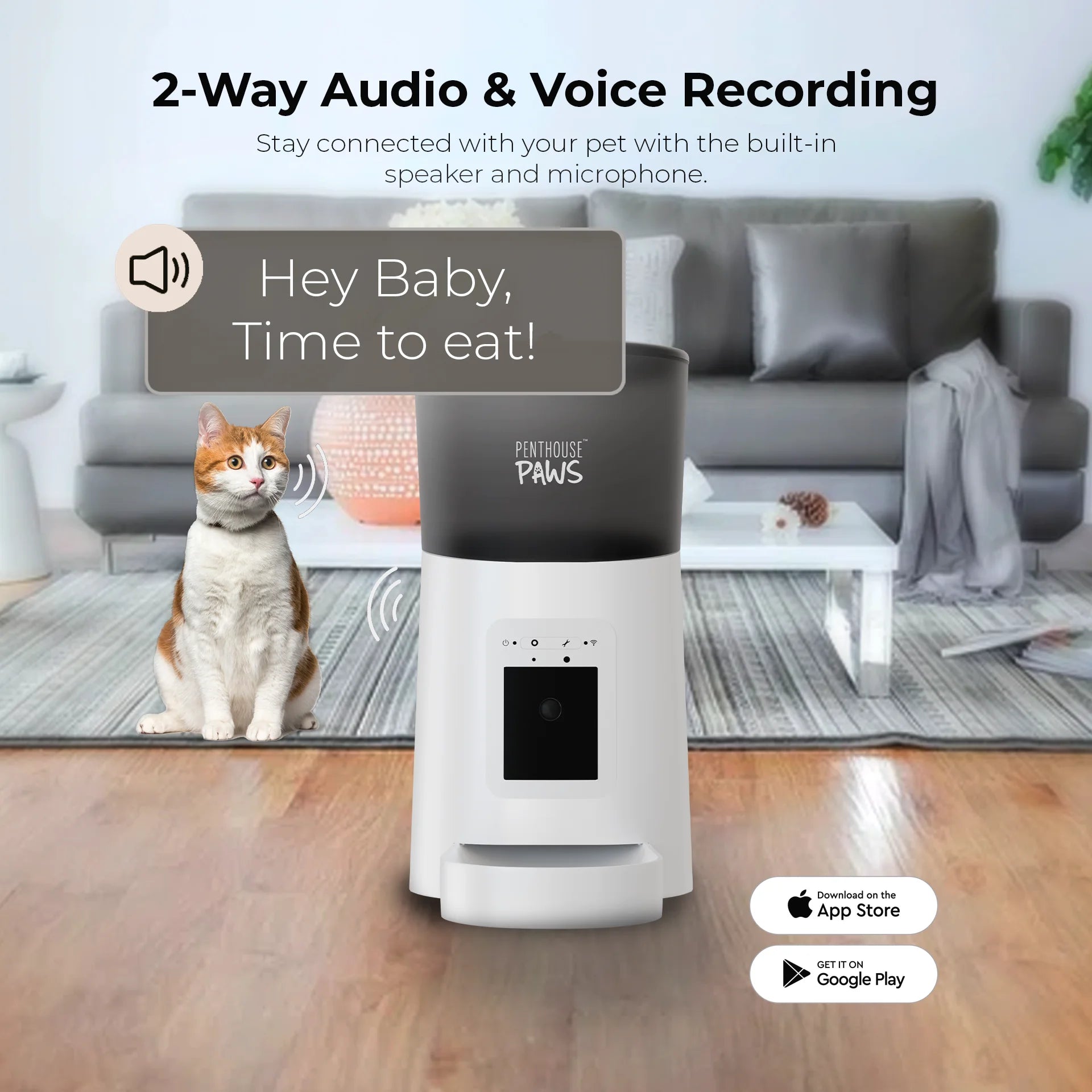 ® Smart Wifi Automatic Cat Feeder with Camera, 6L White