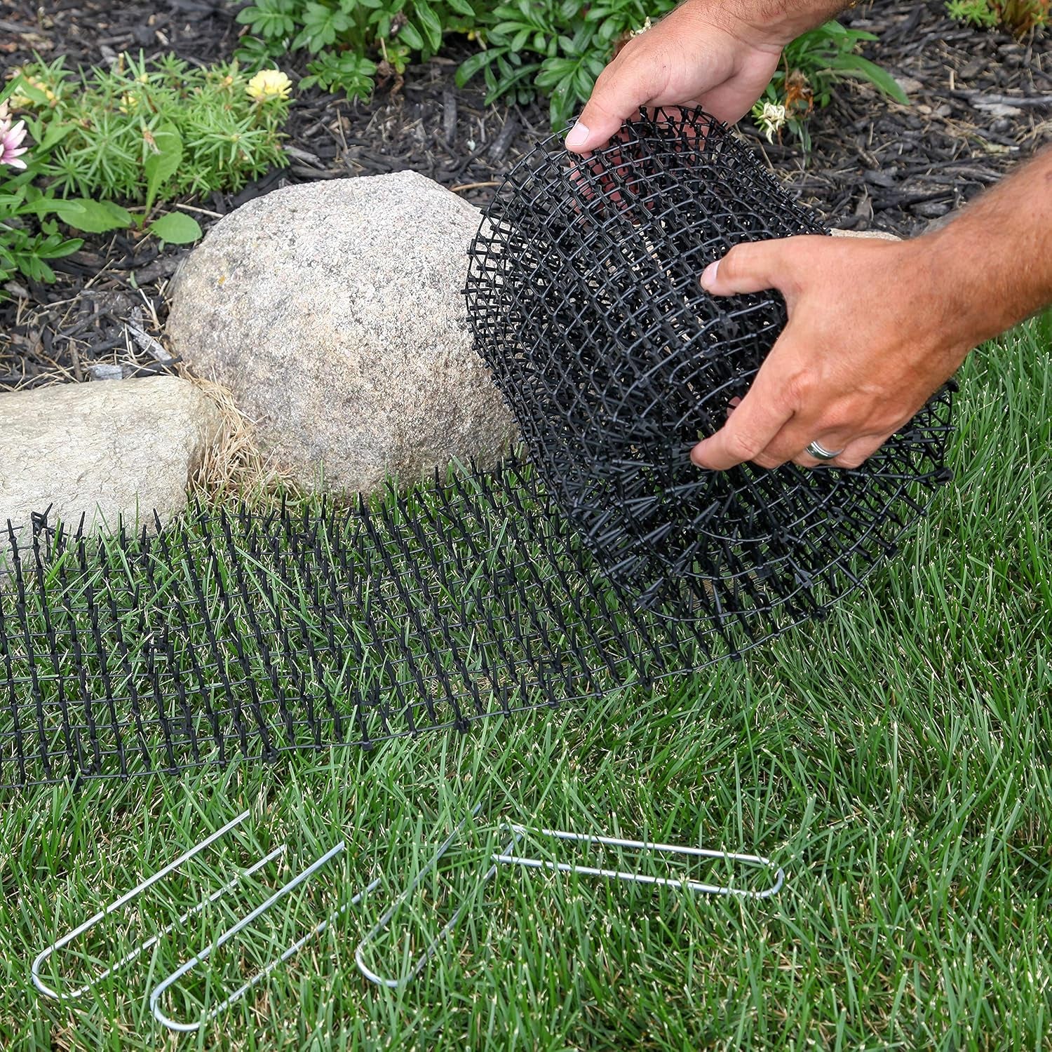 Cat Scat Mat with Spikes Digging Stopper (8 Ft.) Anti-Cat Network Cat Strips, Cat Deterrent Mat for Indoor and Outdoor with 6 Staples