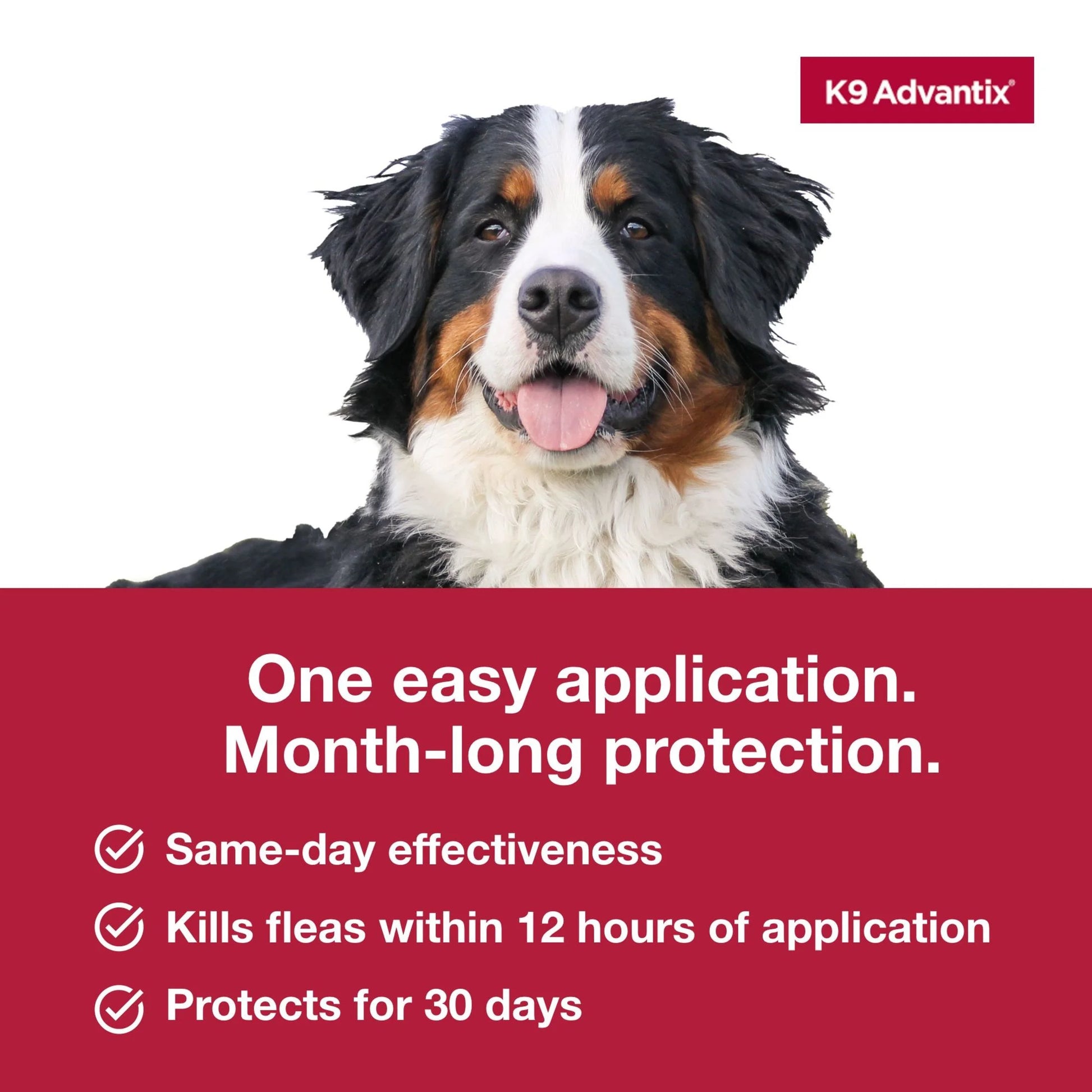 (3 Pack)  Flea, Tick & Mosquito Prevention for Extra Large Dogs over 55 Lbs., 2-Monthly Treatments