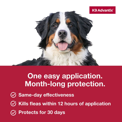 (3 Pack)  Flea, Tick & Mosquito Prevention for Extra Large Dogs over 55 Lbs., 2-Monthly Treatments