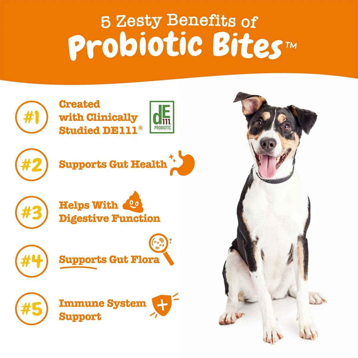 (6 Pack)  Probiotic Bites for Dogs, to Support Gut Health, Pumpkin 60Ct