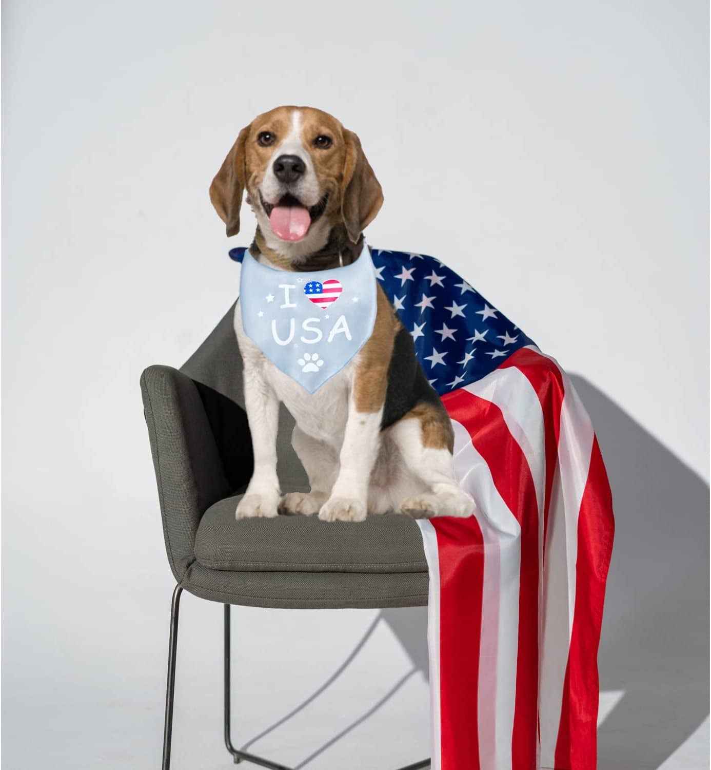 Fourth of July Dog Bandana，Dog Bandanas 4Th of July，Independence Day Patriotic Dog Bandana American Boy Dog Bandana for Large