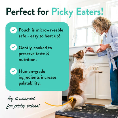 Mixed Fresh Dog Food Pouches Variety Pack - Human-Grade, Gluten-Free Wet Pet Meal Topper Mix-Ins & Meals - Small & Large Breed Puppy & Senior Dogs - Made in the USA - 8 Pack