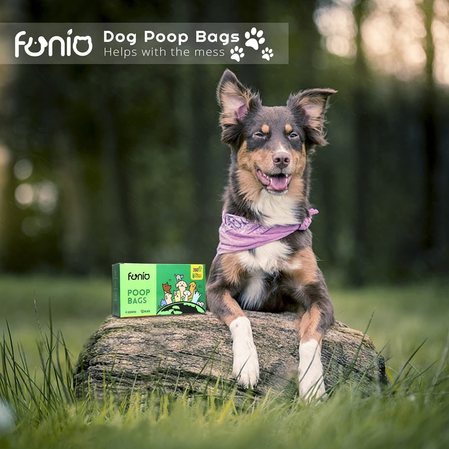 Scented Dog Poop Bag, Eco Friendly Poop Bags,360 Counts Dog Poop Bags with Dispenser,Black Dog Bags for Poop