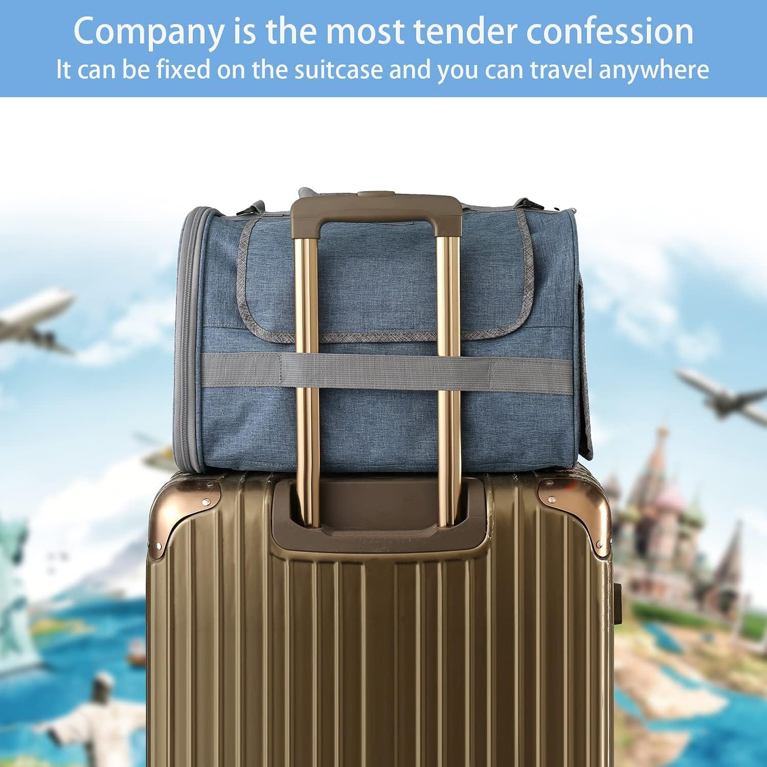 Small Pet Carrier for Cat - Cat Carrier Airline Approved under Seat - TSA Approved Pet Carrier Mesh Window,Dog Airplane Carrier,Portable Soft Cat Transport Carrier,Black