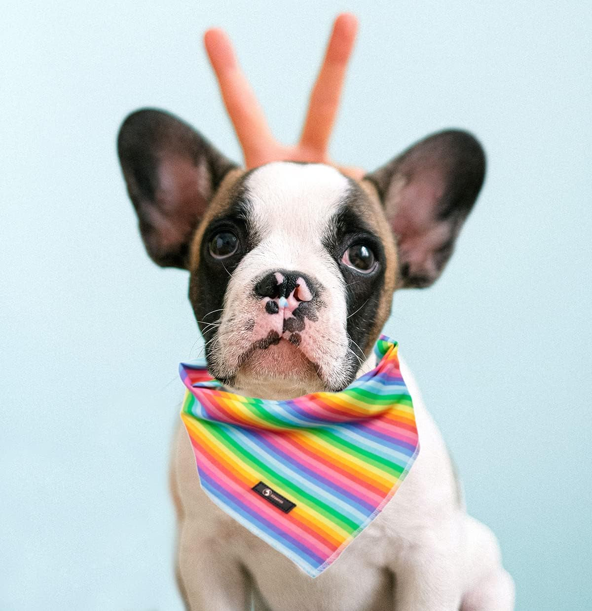 LGBTQ Dog Bandana Cotton Rainbow Washable Soft Dog Bibs Scarf, LGBT Pride Adjustable Kerchief Square Dog Bandanas for Small Large Dogs