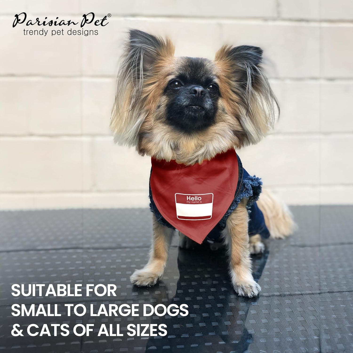 Parisian Unisex Pet Dog Bandanas with Printed 'My Name Is' - Pet ID Tag Tie-On Adjustable, Polyester Dog Scarf for Large Dogs - Washable Triangle Dog Bib - Red Handkerchief for Pets