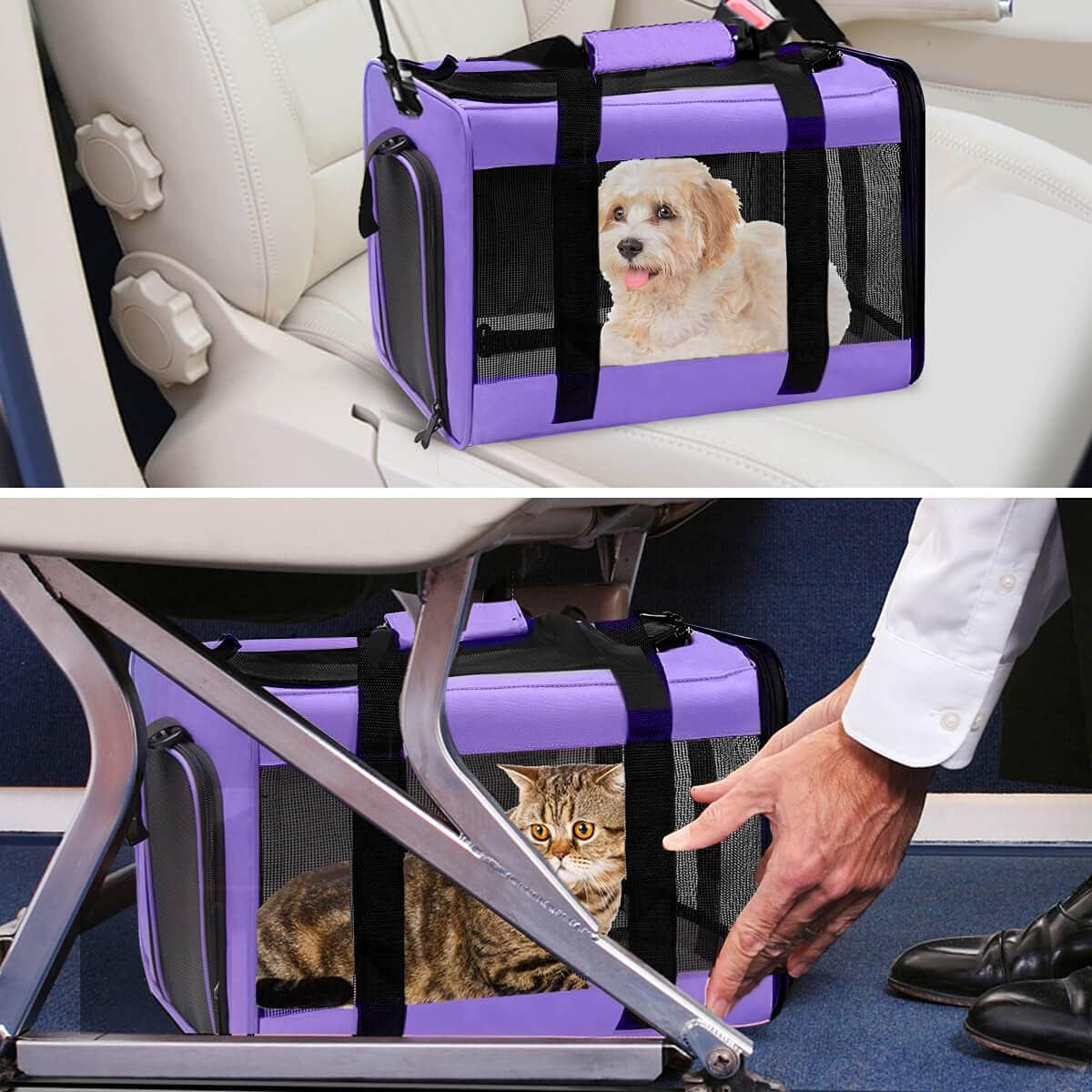 Large Cat Carriers Dog Carrier Pet Carrier for Large Cats Dogs Puppies up to 25 Lbs, Big Dog Carrier Soft Sided, Collapsible Travel Puppy Carrier - Large Purple