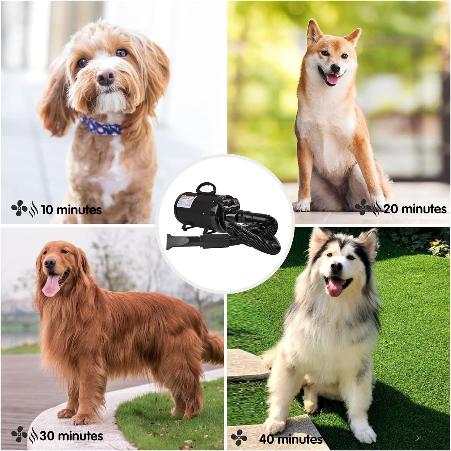 Dog Dryer, High Velocity Dog Hair Dryer, Dog Blow Dryer - Groomer Partner Pet Blower Grooming Force Dryer with Heater, Stepless Adjustable Speed, 4 Different Nozzles, Comb & Pet Grooming Glove (White)