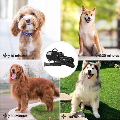 Dog Dryer, High Velocity Dog Hair Dryer, Dog Blow Dryer - Groomer Partner Pet Blower Grooming Force Dryer with Heater, Stepless Adjustable Speed, 4 Different Nozzles, Comb & Pet Grooming Glove (White)