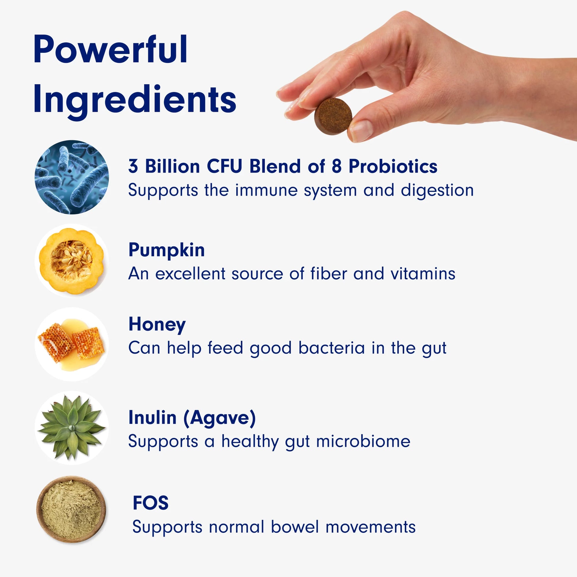 Co. Probiotic Chews, Delicious Soft Chew Probiotics for Dogs, 30 Ct.