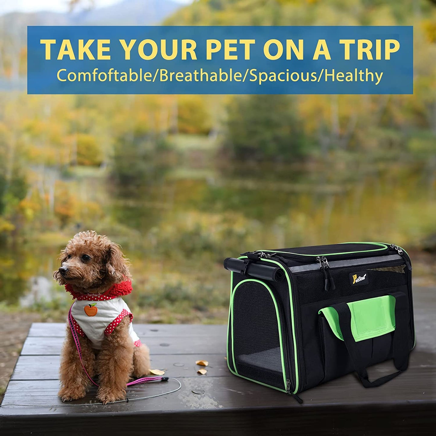 Pet Carrier for Small Dogs, Dog Carrier, Cat Kennel, Airline Approved Dog Cat Pet Travel Carrier, Soft- Sided Pet Travel Carrier for Cats Dogs, Portable Foldable Pet Bag Green and Black