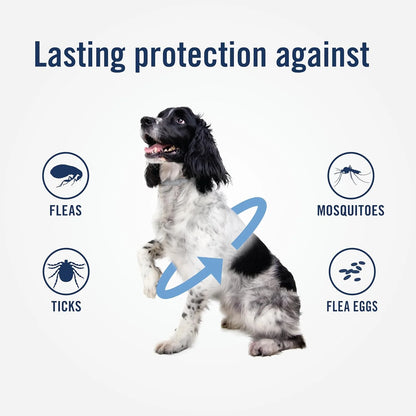 Flea & Tick Collar for Dogs, One-Size-Fits-All Collar, 1 Count