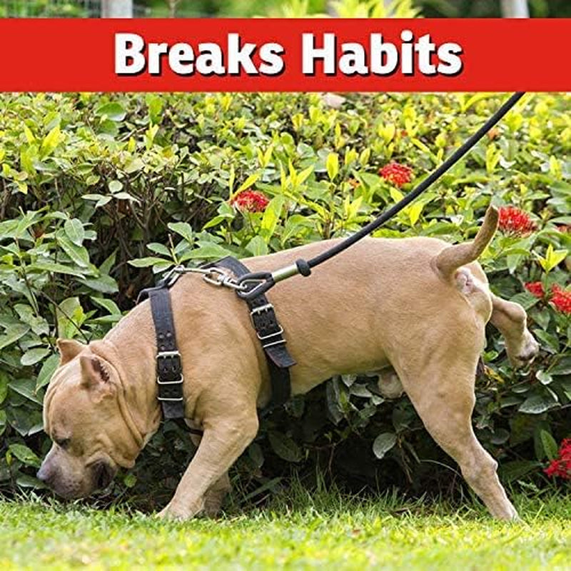 Dog & Cat Repellent - 3Lb Granular - Natural & Pet Safe