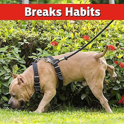 Dog & Cat Repellent - 3Lb Granular - Natural & Pet Safe