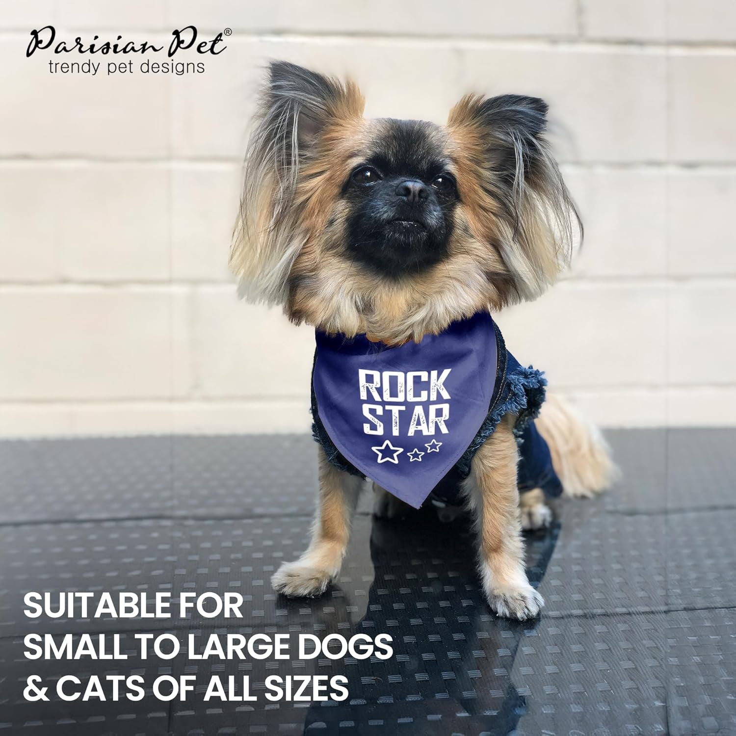 Unisex Dog Bandanas with Printed 'Rock Star' - Fashionable Tie-On Adjustable, Polyester Dog Scarf for Small Dogs - Washable Triangle Female Dog Bib - Blue Handkerchief for Pets - S