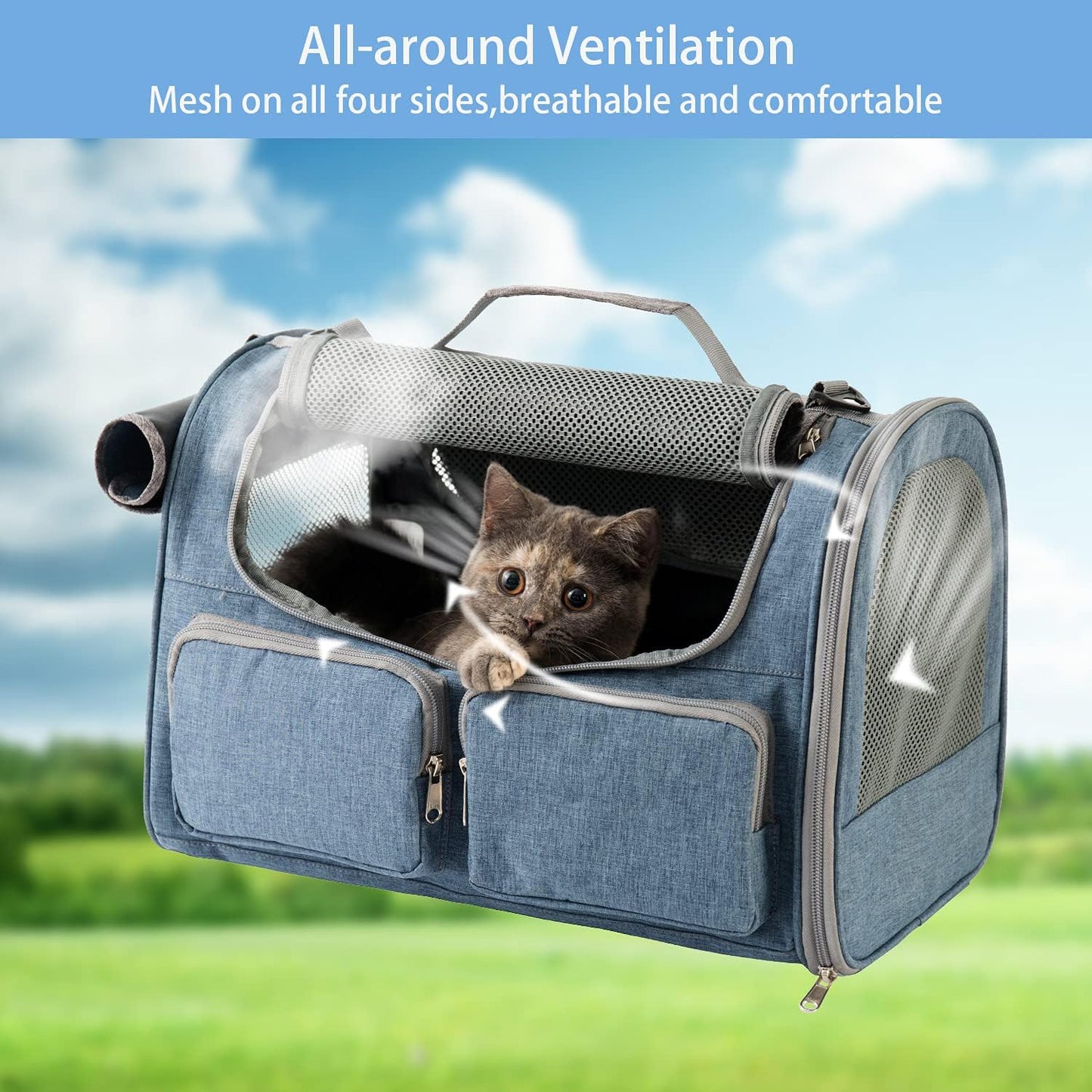 Small Pet Carrier for Cat - Cat Carrier Airline Approved under Seat - TSA Approved Pet Carrier Mesh Window,Dog Airplane Carrier,Portable Soft Cat Transport Carrier,Black