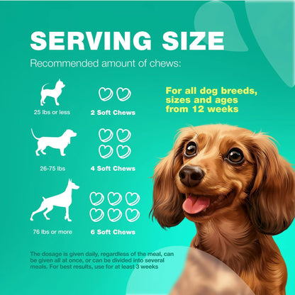 Probiotics for Dogs Soft Chews Support Gut Health & Immunity Dog Digestive