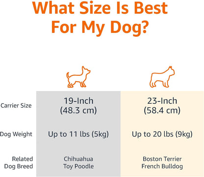 2-Door Top-Load Hard-Sided Dogs, Cats Pet Travel Carrier, Gray & Blue, 22.8"L X 15.0"W X 13.0"H