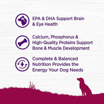 Complete Health Puppy Dry Dog Food, Small Breed, Wholesome Grains, Natural, Chicken, Oatmeal, & Salmon Recipe, (4-Pound Bag)